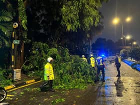 Hujan lebat: 18 kenderaan dihempap pokok, tiada kemalangan jiwa