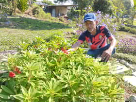 MPAJ, penduduk bekerjasama wujud kebun komuniti di Taman Bukit Teratai
