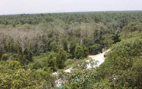 Govt committed to reducing carbon footprint, promoting sustainable practices — PM