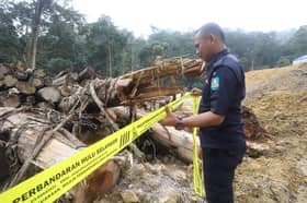 Bangun tanah tanpa kebenaran, MPHS serbu tapak bina laluan ECRL