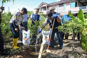 Almost 50 pct of community gardens already in commercialisation phase