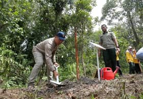 Selangor preserves over 91,000 hectares of peat swamp forests to prevent floods