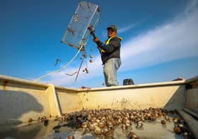 Subsidi pesawah ditambah, bantuan bina semula rumah nelayan naik