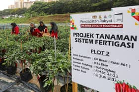 82,892 IPR applications received until May 22 — Economy Ministry