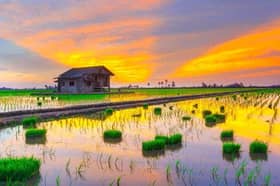 雪放眼今年游客人次达2700万 黄瑞林：明年制定多项有趣活动