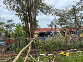 Bomba: 10 pokok tumbang susulan ribut, hujan lebat di Morib