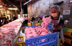 Selangor hasrat perkenal proses sembelihan automasi, pastikan status halal ayam terjamin