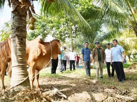 13 kampung Orang Asli terima lembu korban sumbangan negeri