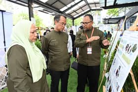 MBPJ achieves nearly 25 pct green space in urban planning
