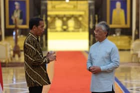 Agong grants audience to Joko Widodo at Istana Negara