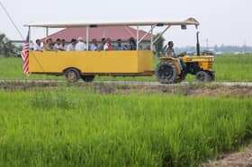 Sabda transforms Sabak Bernam landscape, drives local economy