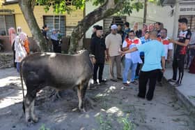 MB hadiri 12 lokasi ziarah korban, turut sembelih seekor lembu