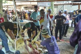 MB sembelih haiwan korban, ramah mesra dengan penduduk