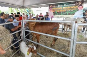 LUAS kongsi panduan urus sisa buangan ladang haiwan korban
