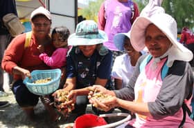 Pesta Kelaut Pantai Kelanang meriah, 200 peserta ambil bahagian