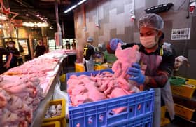 Musim perayaan: Bekalan ayam dijamin sentiasa cukup - menteri