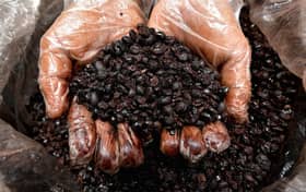 Hasil tuaian teruk di Brazil, Vietnam, harga kopi naik 25 peratus tahun depan