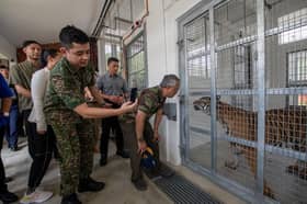 Wildlife conservation efforts must be strengthened — King