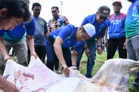 Lembu sumbangan parlimen Gombak antara dikorban kakitangan MPAJ