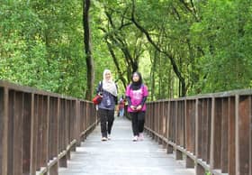 500 anak pokok bakau pulihara taman rekreasi Mangrove Point, Pelabuhan Klang