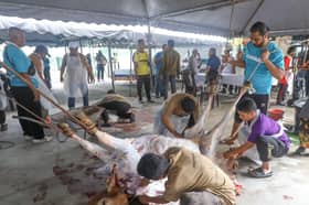 DUN Lembah Jaya sumbang 17 haiwan sempena Aidiladha tahun ini