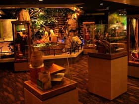 Museums aiming for two mln visitors ahead of Visit Malaysia Year 2026