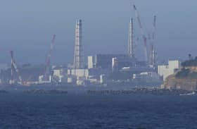 Fukushima wastewater released into the ocean, China bans all Japanese seafood