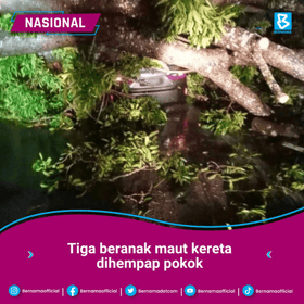 Suami, isteri, anak maut dihempap pokok