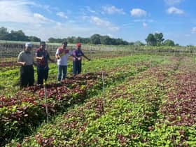 State polls: Agro-tourism a potential income boost for Sg Kandis farmers, residents