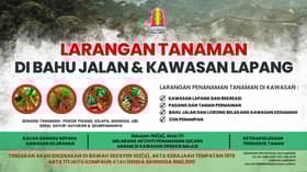 Tanam pokok di kawasan awam hingga timbul kacau ganggu boleh didenda RM2,000