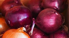India imposes new 40pct export duty on onions