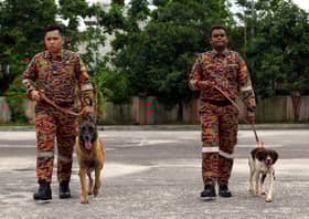 Frankie, anjing pengesan bomba sertai perarakan Hari Kebangsaan