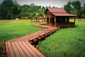 Ministry prioritises urban liveability for residents' comfort