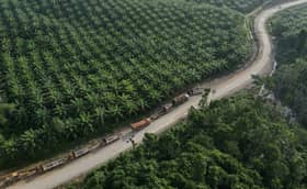 EU starts probe on Indonesian biodiesel avoiding import duties