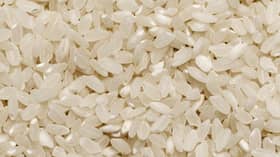Govt mulls Pakistan rice imports to stabilise supply, prices