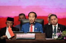 Jokowi pushes Asean, India to cooperate in blue economy