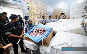 Frozen food smuggling syndicate worth over RM2 mln busted