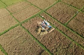 Indonesia's 2024 rice import quota to be at two mln metric tonnes