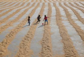 Local white rice supply expected to increase by year's end