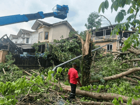 Skuad pantas MBPJ potong pokok hempap kereta, bumbung rumah