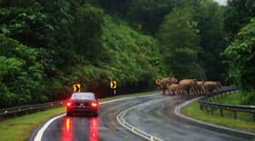 East-West Highway upgrade to ensure road users’ safety — Exco