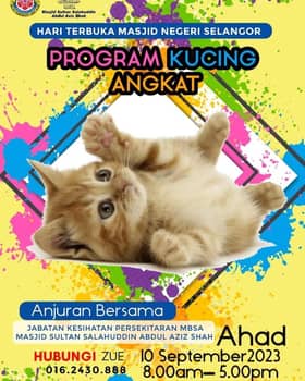 MBSA anjur program kucing angkat di masjid negeri, pilih bawa pulang