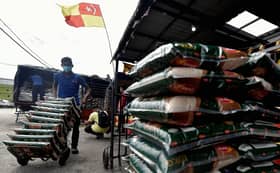 Govt raises limit of subsidised local white rice purchase to five bags