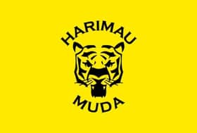 FAM looking to revive Harimau Muda programme