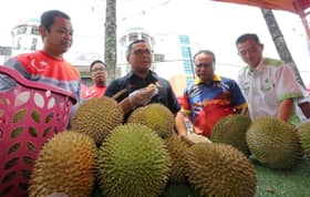 Smart tech boosts cash crops, high yield harvested within a year