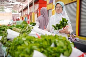 Kohijrah usahakan kebun, jual tanaman murah banding pasaran