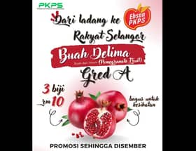 PKPS tawar delima gred A import dari Mesir, tiga biji RM10