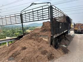 No water source pollution following burning lorry incident — Luas