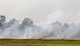 Southeast Asian ministers commit to eventual elimination of crop-burning