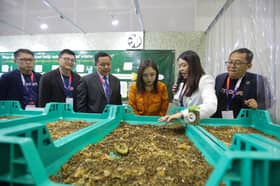 Exco advocates local authorities adopt organic waste treatment